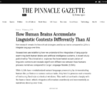 人間の脳は AI とは異なる方法で言語的コンテキストを蓄積する – The Pinnacle Gazette